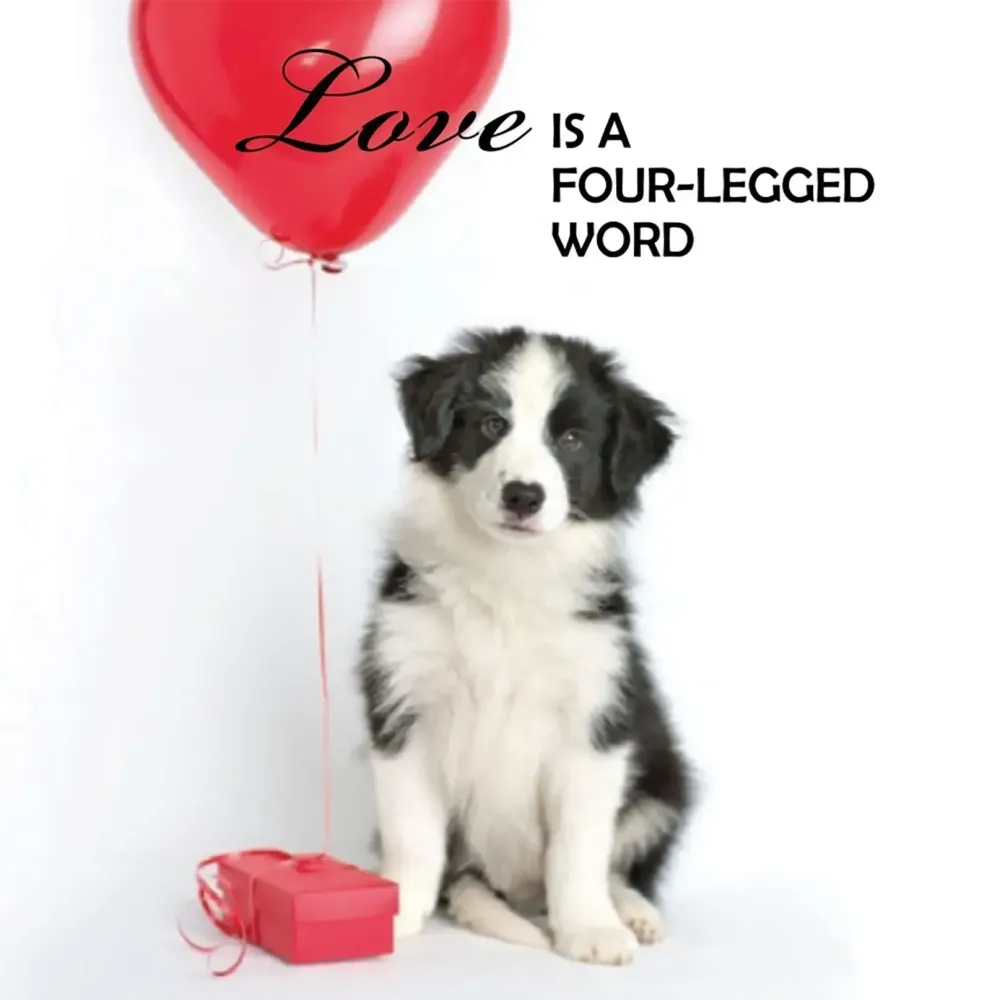 Pup Notes - 60 Notes of Dog Love & Joy